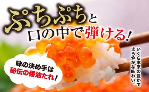 笹谷商店 北海道産 いくら イクラ (鮭) 500g×5個 2.5kg 2,500g 魚 醤油漬け 海鮮醤油漬け 海鮮 海鮮丼 ギフト 冷凍 魚卵 魚介類 しょう油漬 ご飯のお供 F4F-5741