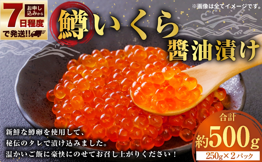 【 7日程度で発送 】 鱒いくら醬油漬け 250g × ２ 計500g 鱒 いくら 醬油漬け いくら醬油漬け 醬油 漬け 鱒卵 新鮮 秘伝のタレ 海鮮 卵 魚介類 魚介 冷凍 魚卵 ご飯のお供