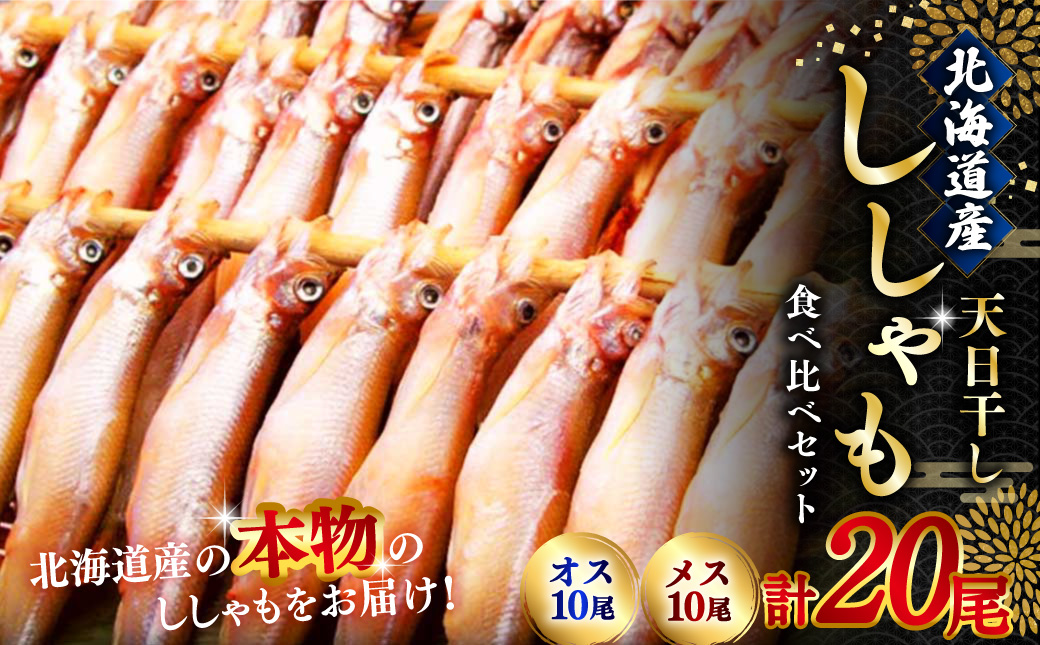 【オスメス食べ比べ】北海道産・ししゃもセット ふるさと納税 ししゃも