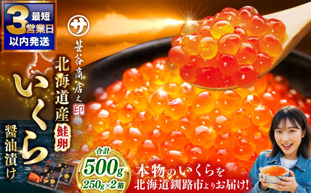 笹谷商店 新物 北海道産いくらしょう油漬250g×2箱 ふるさと納税 いくら F7F-9689