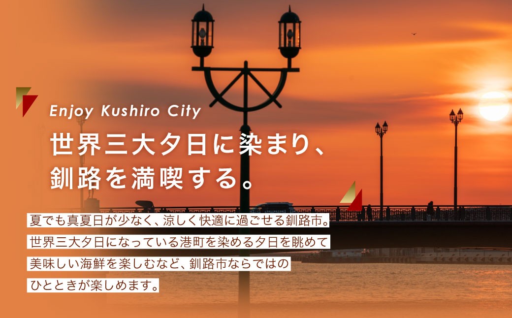7月発送 紅鮭いくら醤油漬け 500g 冷凍 年末年始 いくら 鮭いくら ご飯のお供 ご飯 米 北海道 釧路市 