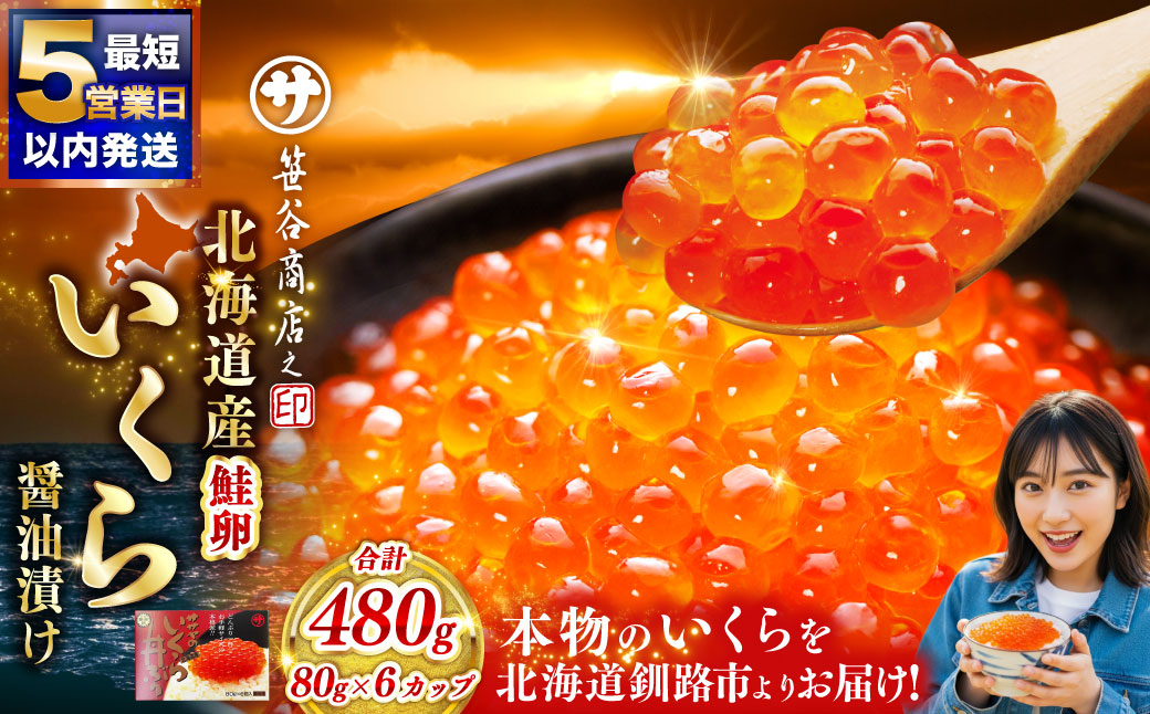 【5営業日以内発送】新物 北海道産 いくら 醤油漬け 80g×6カップ 計480g 小分け パック 醤油漬け 海鮮 海鮮丼 イクラ丼 醤油たれ 冷凍 魚卵 魚介類 グルメ 北海道 釧路市