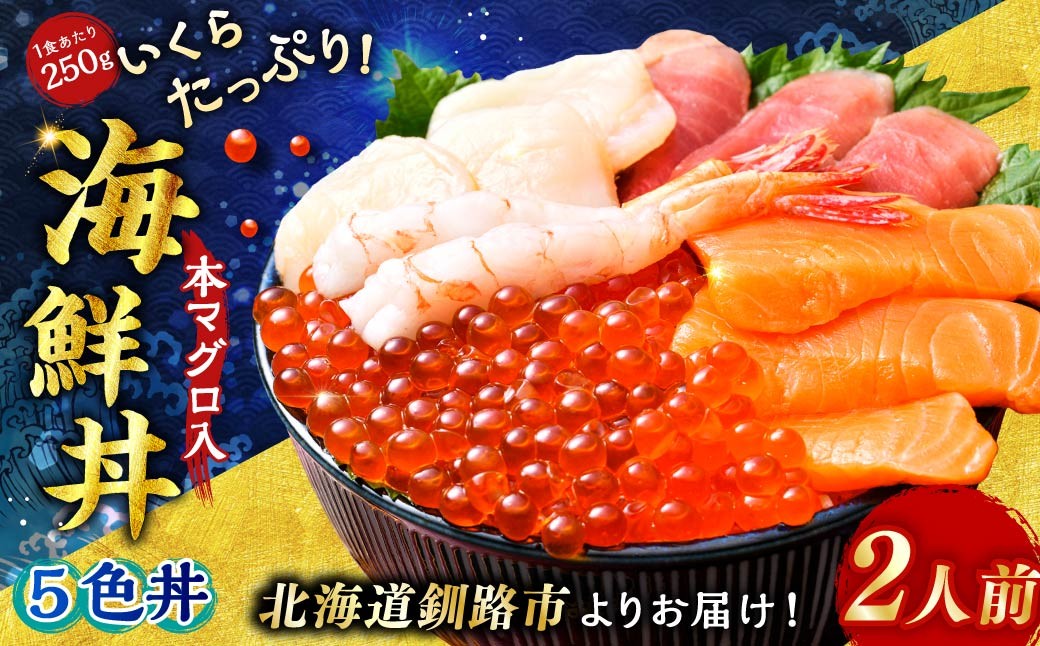 いくらたっぷり海鮮丼セット 2人用 イクラ いくら 海鮮丼 刺身 真空パック 小分け 北海道いくら 秋鮭 秋鮭イクラ 新鮮 海鮮  F4F-8626