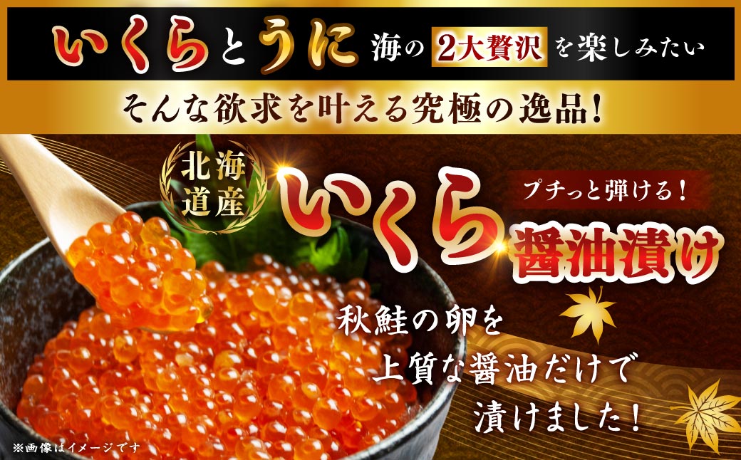 えぞバフンうに折60g×2 いくら醤油漬け90g×1 ふるさと納税 うに いくら F4F-8829