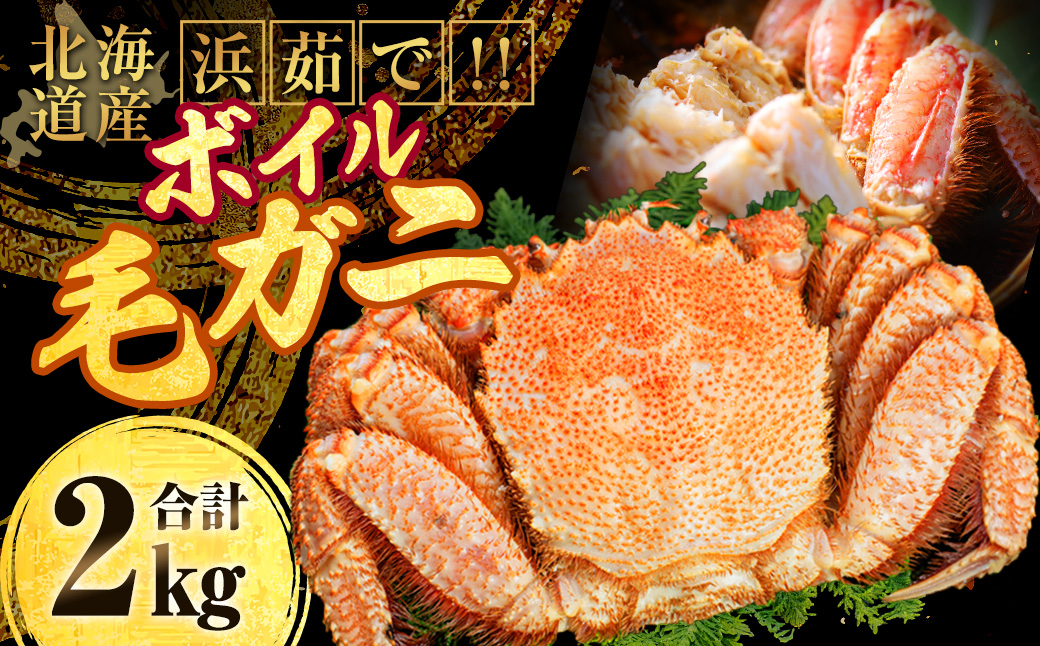 縲先オ懆源縺ァシ√代懊う繝ォ豈帙ぎ繝2.0kg 隧ー繧シ亥キ蜃搾シ5蟆セ蜈・繧 縺オ繧九&縺ィ邏咲ィ 陝ケ