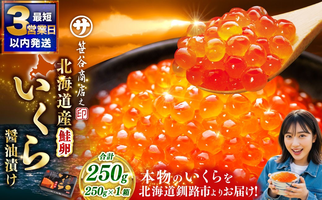 通常発送 新物 北海道産いくらしょう油漬250g 笹谷商店 小分け パック 醤油漬け 海鮮 海鮮丼 イクラ丼 醤油たれ ギフト 贈り物 冷凍 魚卵 魚介類 グルメ 北海道 釧路市