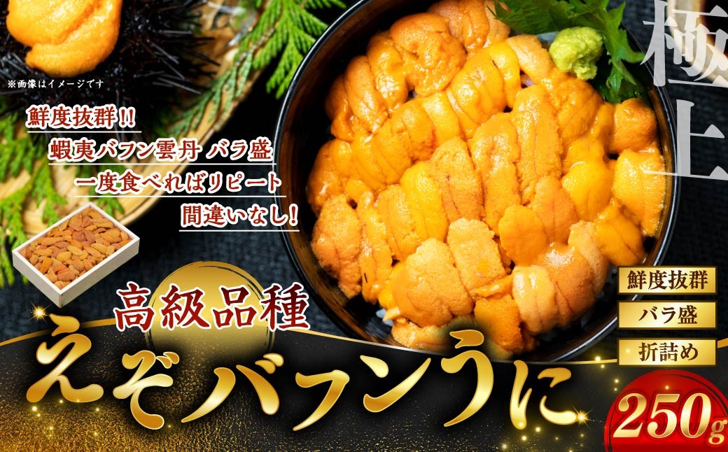 【鮮度抜群！極上生えぞバフンうに】生うに折250g ふるさと納税 うに F4F-3210