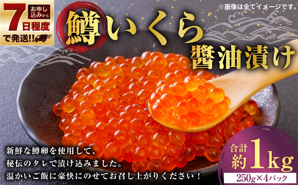 【 7日程度で発送 】 鱒いくら醬油漬け 250g × 4 計1kg 鱒 いくら 醬油漬け いくら醬油漬け 醬油 漬け 鱒卵 新鮮 秘伝のタレ 海鮮 卵 魚介類 魚介 冷凍 魚卵 ご飯のお供