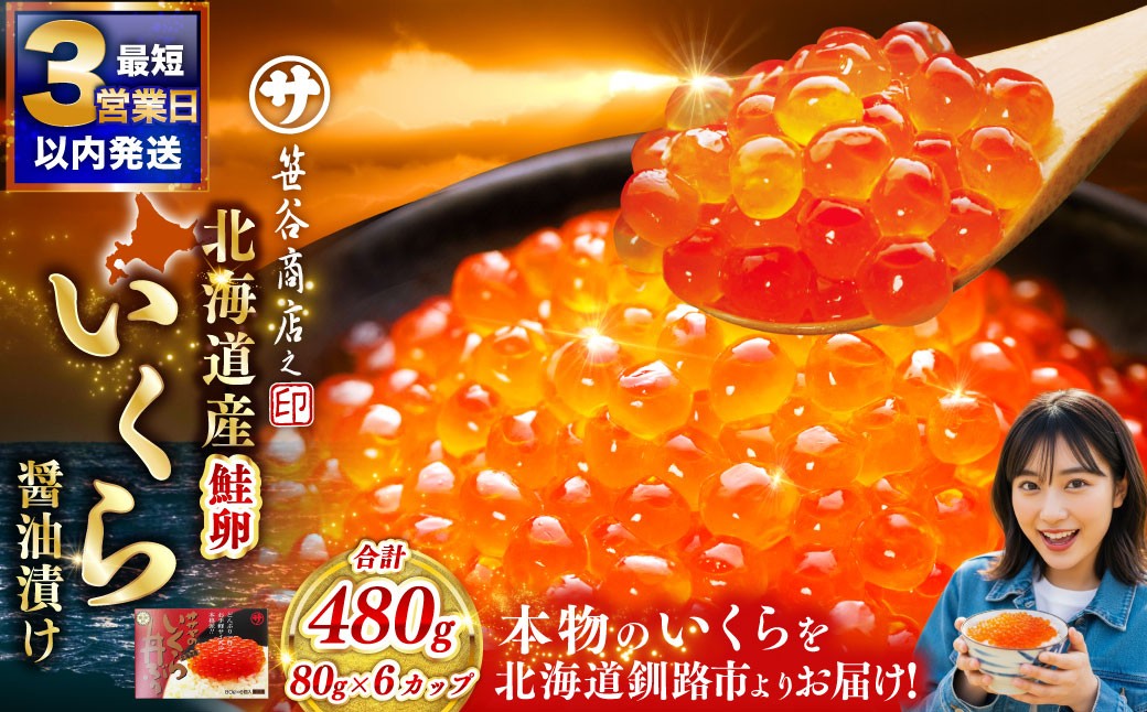 通常発送 新物 北海道産 いくら 醤油漬け 80g×6カップ 計480g 決済から7日前後で発送 小分け パック 醤油漬け 海鮮 海鮮丼 イクラ丼 醤油たれ 冷凍 魚卵 魚介類 グルメ 北海道 釧路市