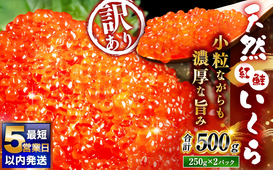 【決済より5営業日程度で発送】紅鮭いくら醤油漬け 500g（250g×2） 冷凍 年末年始 いくら 鮭いくら ご飯のお供 ご飯 米 北海道 釧路市