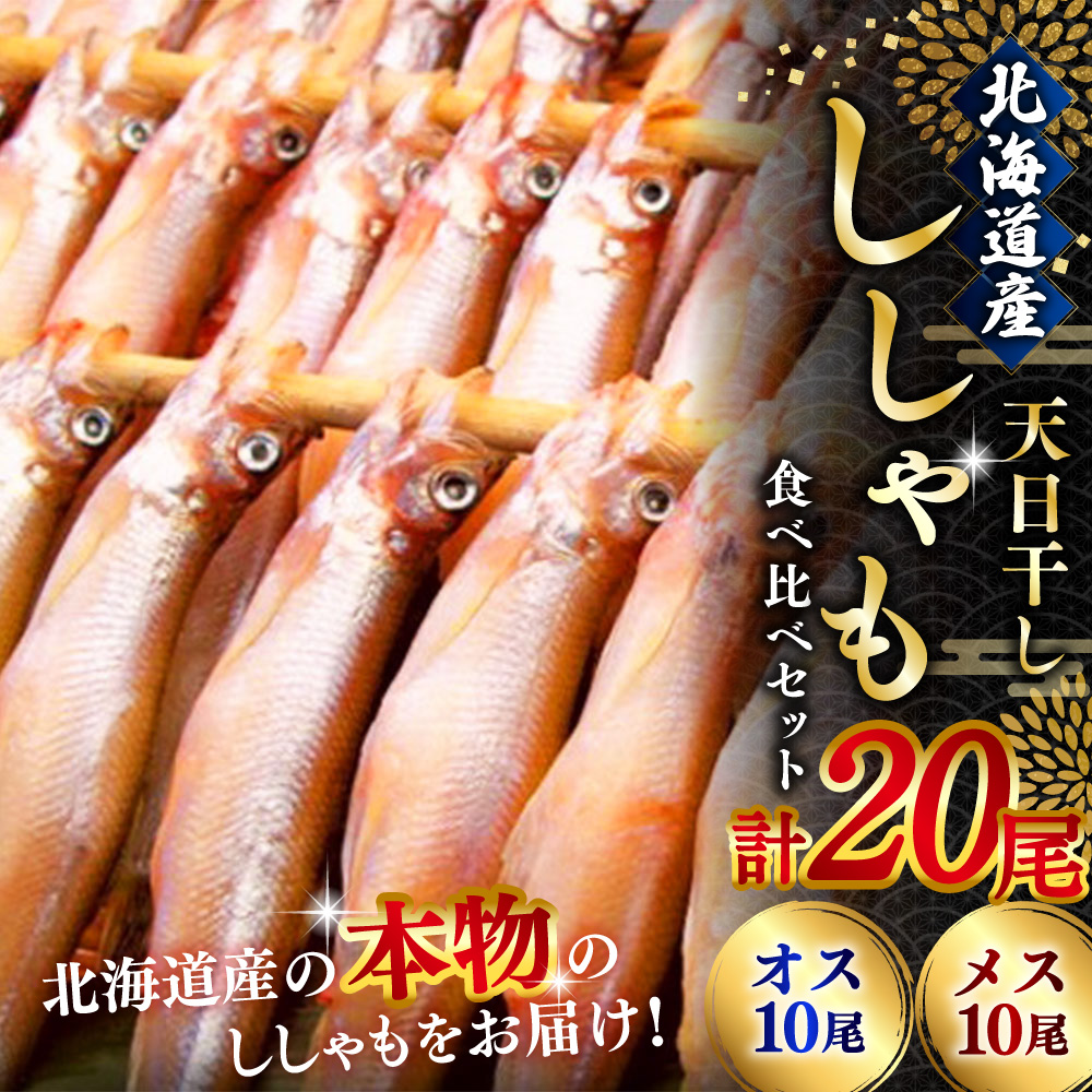 【オスメス食べ比べ】北海道産・ししゃもセット ふるさと納税 ししゃも