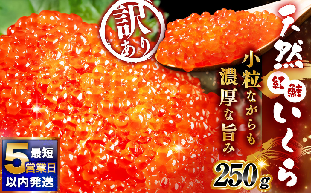 【決済より5営業日程度で発送】紅鮭いくら醤油漬け 250g 冷凍 年末年始 いくら 鮭いくら ご飯のお供 ご飯 米 北海道 釧路市