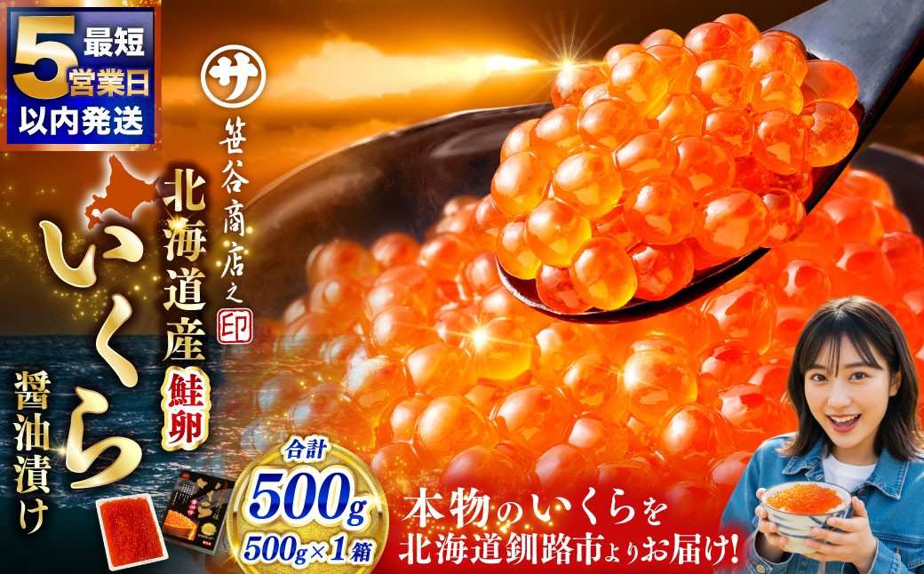 【5営業日以内発送】 北海道産 いくら醤油漬け500g×1箱 ふるさと納税 いくら