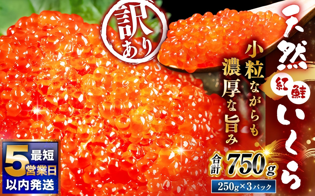 【 5営業日以内発送 】 紅鮭いくら醤油漬け 750g （ 250g × 3 ） いくら イクラ 海鮮 天然紅鮭 魚卵 卵 イクラ丼 いくら丼 手巻き寿司 小粒 魚介類 魚介 寿司 丼 冷凍 旨味