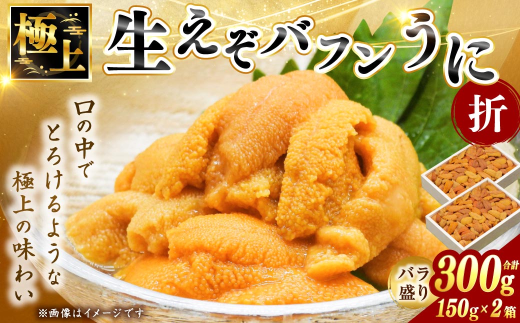 えぞバフンうに折150g×2 【鮮度抜群！極上生えぞバフンうに】 ふるさと納税 うに F4F-0698