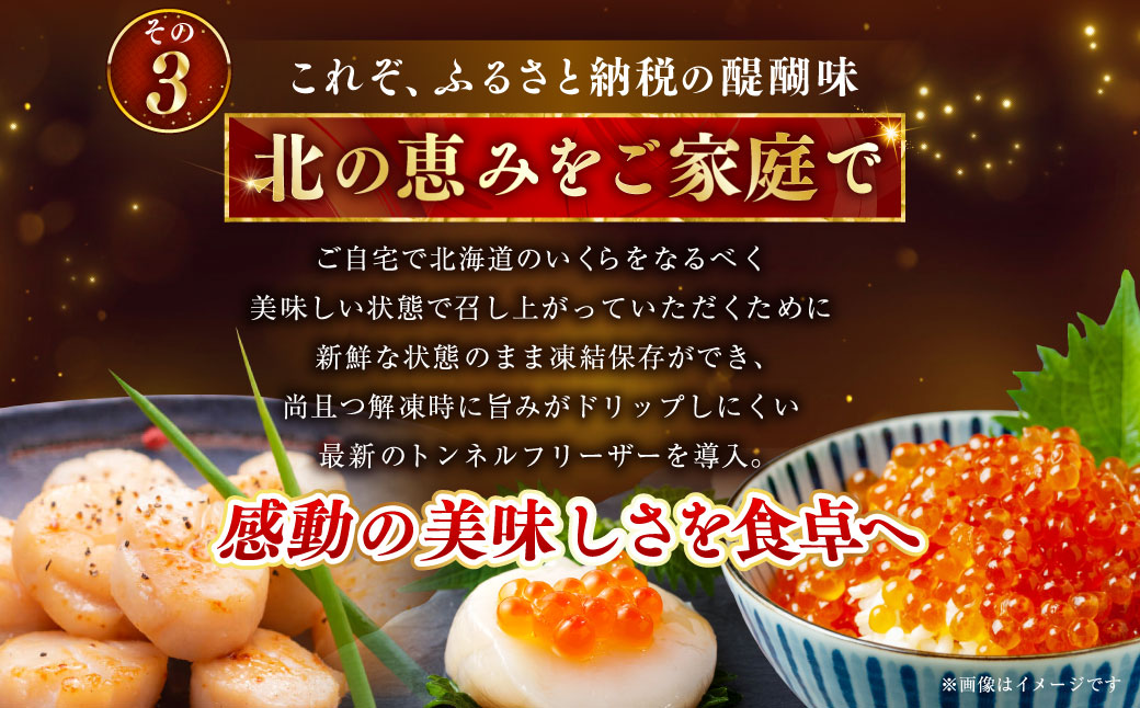 【5営業日以内発送】笹谷商店 新物 北海道産 いくら醤油漬け250g＆ほたて貝柱500g 