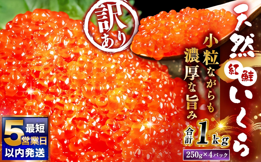 【 2026年7月発送 】 紅鮭いくら醤油漬け 1kg （ 250g × 4 ）  いくら イクラ 海鮮 天然紅鮭 魚卵 卵 イクラ丼 いくら丼 手巻き寿司 小粒 魚介類 魚介 寿司 丼 冷凍 旨味