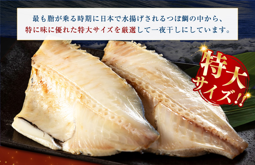 釧之助 極旨つぼだい半身150g ×2パック セット 北海道 釧路 ふるさと納税 つぼ鯛 鯛 一夜干し干物 魚 魚介 海産物 高級魚 F4F-8422