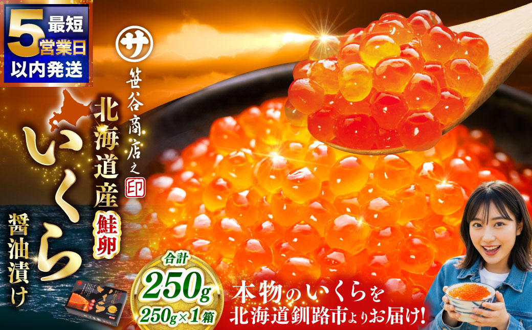 【5営業日以内発送】新物 北海道産いくらしょう油漬250g 笹谷商店 小分け パック 醤油漬け 海鮮 海鮮丼 イクラ丼 醤油たれ ギフト 贈り物 冷凍 魚卵 魚介類 グルメ 北海道 釧路市