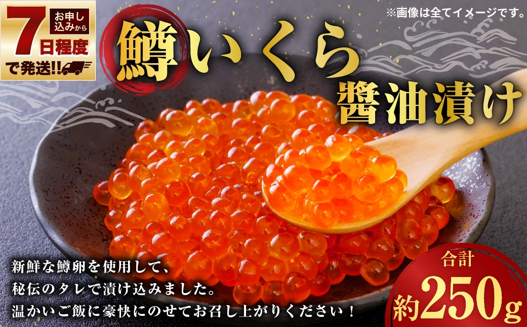 【 7日程度で発送 】 鱒いくら醬油漬け 250g 鱒 いくら 醬油漬け いくら醬油漬け 醬油 漬け 鱒卵 新鮮 秘伝のタレ 海鮮 卵 魚介類 魚介 冷凍 魚卵 ご飯のお供