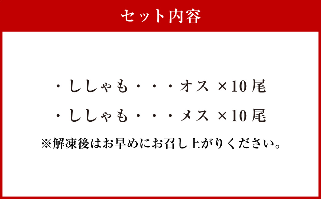 【オスメス食べ比べ】北海道産・ししゃもセット ふるさと納税 ししゃも