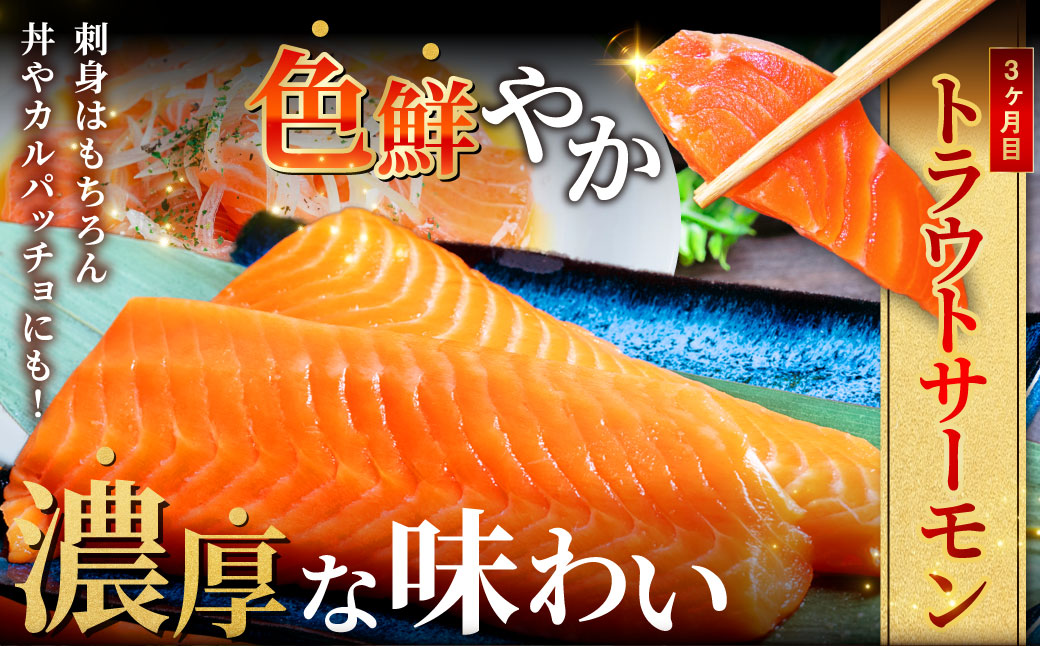 【3か月定期便】北の味覚海鮮3点定期便 いくら250g サーモン400g ほたて500g 海鮮丼 セット 鮭 シャケ サケ 魚卵 海鮮 海鮮セット 海鮮醤油漬 刺身 福袋 定期便 頒布会 3か月 3回