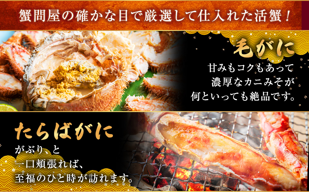 厳選!! 毛がに・たらばがにセット（B） ふるさと納税 かに 蟹