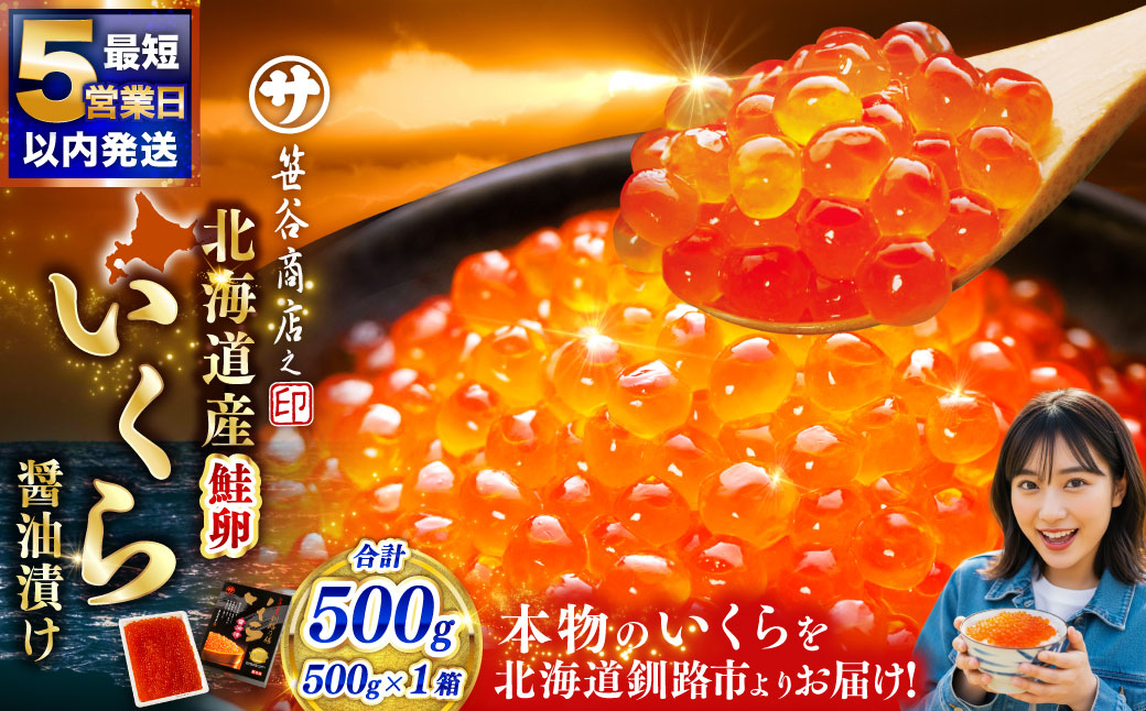 【5営業日以内発送】新物 北海道産 いくら醤油漬け500g×1箱 ふるさと納税 いくら