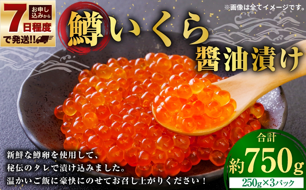 【 7日程度で発送 】 鱒いくら醬油漬け 250g × 3 計750g 鱒 いくら 醬油漬け いくら醬油漬け 醬油 漬け 鱒卵 新鮮 秘伝のタレ 海鮮 卵 魚介類 魚介 冷凍 魚卵 ご飯のお供