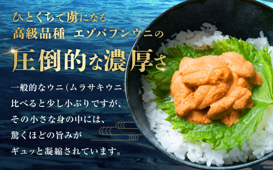【特選】塩水ウニ 80g（エゾバフンウニ） 【6月中旬(予定)～9月発送不可】うに 雲丹 ミョウバン不使用 海鮮丼 寿司 冷蔵