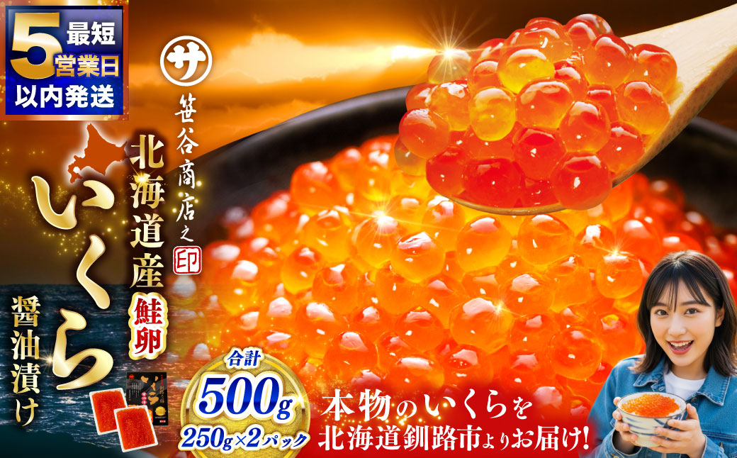 【5営業日以内発送】笹谷商店 北海道産いくらしょう油漬500g（250g×2パック入り） ふるさと納税 いくら