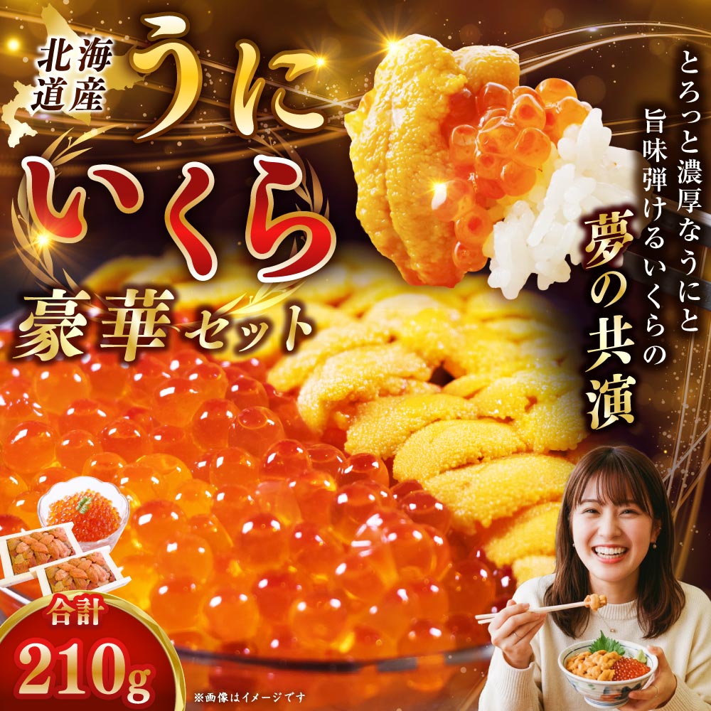 えぞバフンうに折60g×2 いくら醤油漬け90g×1 ふるさと納税 うに いくら F4F-8829