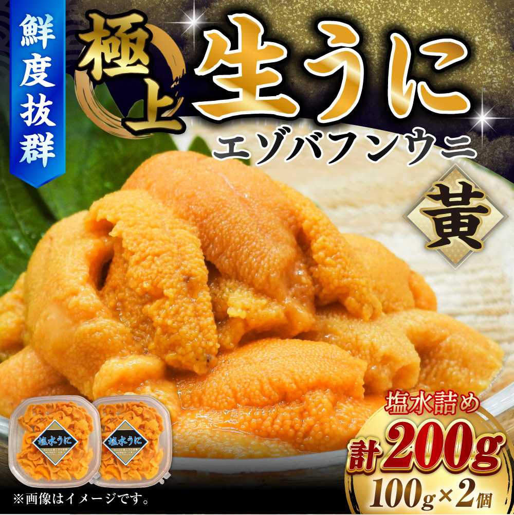 【鮮度抜群！特選・極上えぞバフンうに【黄】】塩水詰め100g×2個 ふるさと納税 うに