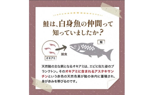 銀鮭 3切×18ハ?ック 計54切れ 朝ごはんやお弁当に 銀鮭 54切れ 真空保存 甘塩 天然 銀鮭 鮭 しゃけ サケ さけ ご飯のお供 朝食 真空 朝食 お弁当 おかず 小分け F4F-2065