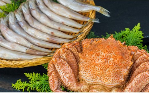 縲先ッ幄淹縺ィ繧キ繧キ繝」繝「シ√第ッ帙ぎ繝500gテ1蟆セ&縺励@繧繧(繧ェ繧ケ繝サ蜿医ッ繝。繧ケ窶サ驕ク謚樔ク榊庄)シ亥、ァシ嘉10蟆セ F4F-5336