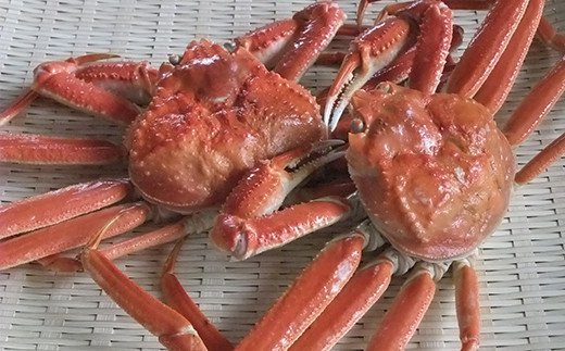 【期間限定！寄附額改定↓！】ボイルずわいかに姿 600～700g×2尾 ふるさと納税 かに 蟹 F4F-2143