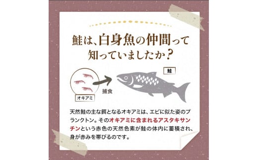 小分け 真空保存 紅鮭 銀鮭 食べ比べ 計54切れ 紅鮭 × 3切れ ×9パック 銀鮭 × 3切れ×9パック しゃけ シャケ さけ サケ お弁当 おかず 魚 海鮮 F4F-2213