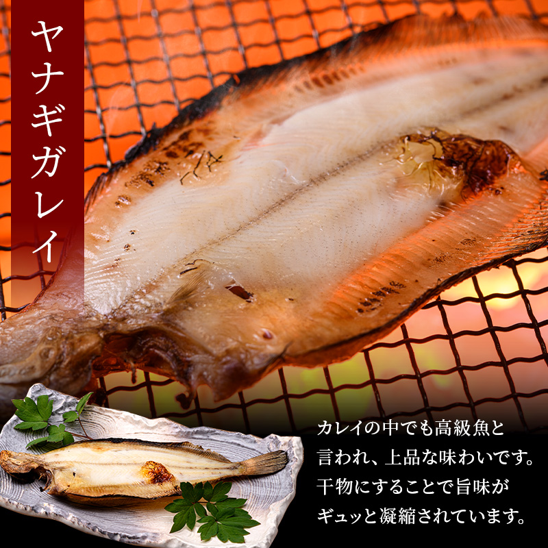 肉と魚の欲張りセット 味付きかみこみ豚3種と 北海道産干物3種 豚丼 豚味噌漬け ポークチャップ 各400g  ほっけ 八角 柳ガレイ  豚肉 豚丼 北海道 ご当地グルメ 味噌漬け 味噌 ポークチャップ 真空 豚 ポーク ロース F4F-2402