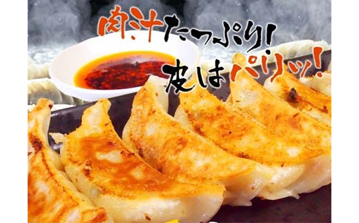 餃子75個 中華料理専門店 手作り 肉汁 ぎょうざ 惣菜 セット 中華 おかず ギョーザ ギョウザ 豚肉 パリパリ もちもち コラーゲン F4F-2420