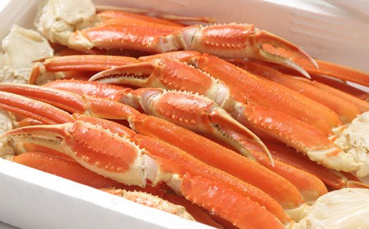 ãºã¯ã€ã»ã¯ã·ã§ã³1.7kg ãµãããšçŽçš è¹ F4F-1834