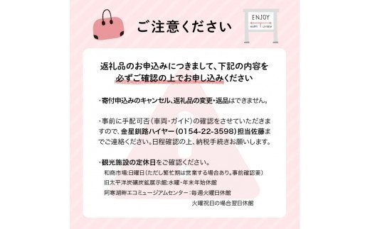 釧路市在住観光クリエーター　原田カーナさんがご案内する釧路市タクシー観光プラン　釧路市内満喫コース（ジャンボタクシ－） F4F-5956