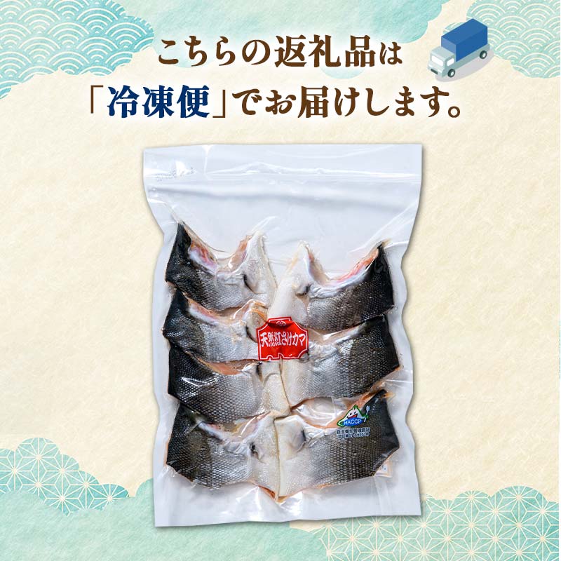 天然紅鮭カマ800g真空 さけ サケ しゃけ 魚 紅サケ ご飯のお供 お弁当 おかず 真空保存 北海道 海産物 F4F-2593