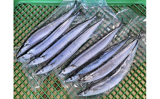 【期間限定！寄附額改定↓！】釧路産・急速冷凍 【特大】生サンマ（4尾入×2） 生サンマ さんま F4F-0341