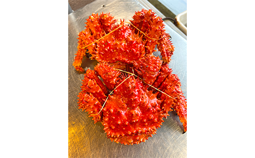 【茹でたて未冷凍】北海道産・ボイル花咲蟹2～4尾で1.0kg かに カニ 花咲ガニ 釧路 海鮮 F4F-4789