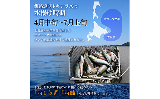 新もの 船上活じめ 釧路 定置 トキシラズ の 半身 ふるさと納税 鮭 サケ 魚 F4F-4666