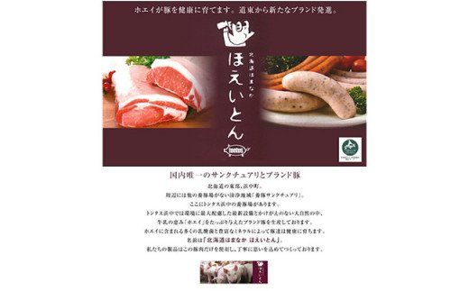 北海道ホエイ豚串 5本入 4パック ふるさと納税 肉 F4F-0714