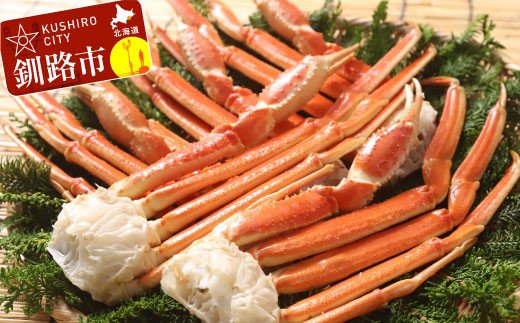 ズワイセクション1.7kg ふるさと納税 蟹 F4F-1834