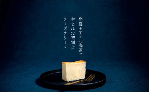 チーズテリーヌ＆ショコラチーズテリーヌセット(各600g×1箱) スイーツ バレンタイン ホワイトデー デザート ケーキ 菓子 F4F-2056