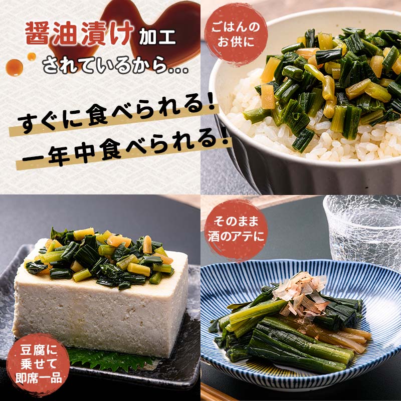 行者にんにく醤油漬120g 3袋セット 北海道 山菜 ヒトビロ アイヌネギ ギョウジャニンニク ご飯のおとも F4F-2220