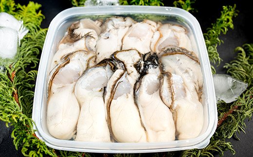 鮮度抜群！釧路管内産濃厚むき牡蠣（生食用）300g×2 ふるさと納税 かき 牡蠣